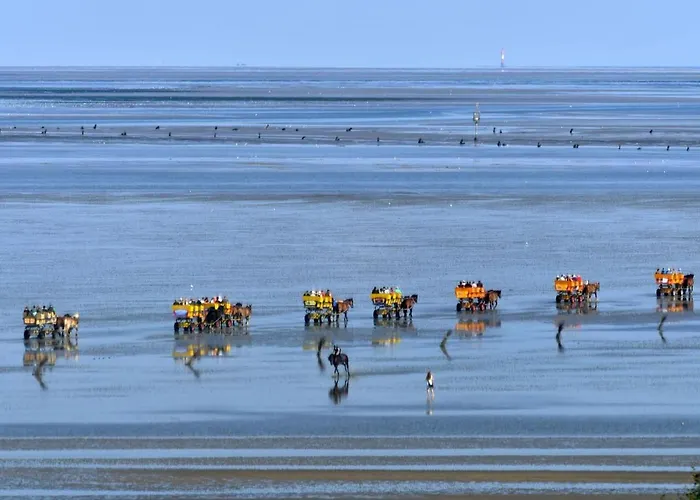 Haus Nordseebrandung Nc54 *